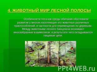 4. ЖИВОТНЫЙ МИР ЛЕСНОЙ ПОЛОСЫ Особенности леса как среды обитания обусловили раз