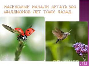 насекомые начали летать 300 миллионов лет тому назад.