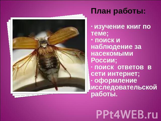 План работы: изучение книг по теме; поиск и наблюдение за насекомыми России; поиск ответов в сети интернет; оформление исследовательской работы. 