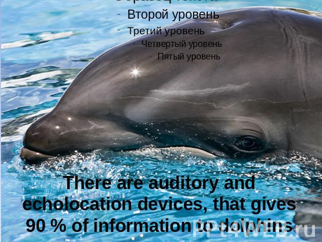 There are auditory and echolocation devices, that gives 90 % of information to dolphins