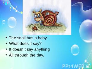 The snail has a baby.What does it say?It doesn’t say anythingAll through the day