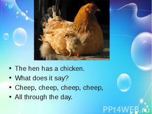 The hen has a chicken.What does it say?Cheep, cheep, cheep, cheep,All through th