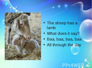 The sheep has a lambWhat does it say?Baa, baa, baa, baaAll through the day