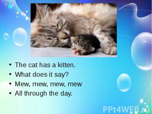 The cat has a kitten.What does it say?Mew, mew, mew, mewAll through the day.