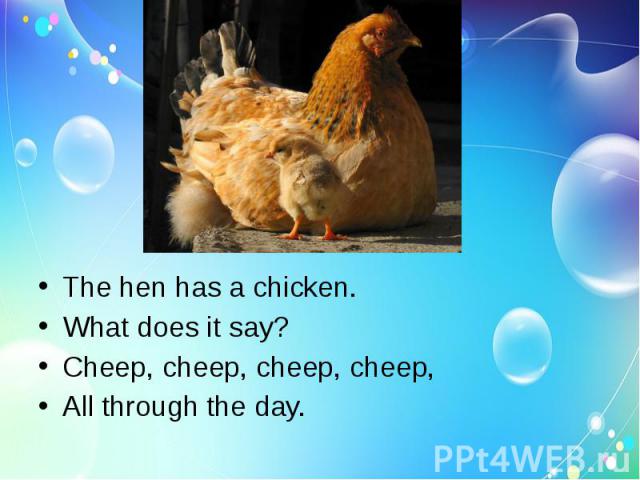 The hen has a chicken.What does it say?Cheep, cheep, cheep, cheep,All through the day.