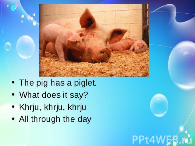 The pig has a piglet.What does it say?Khrju, khrju, khrjuAll through the day
