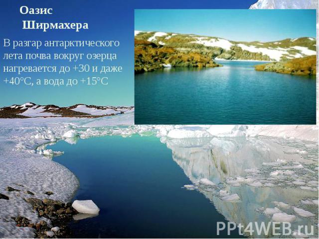 В разгар антарктического лета почва вокруг озерца нагревается до +30 и даже +40°С, а вода до +15°С