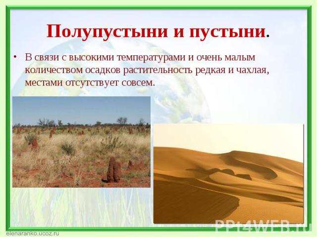 План характеристики природной зоны пустыни