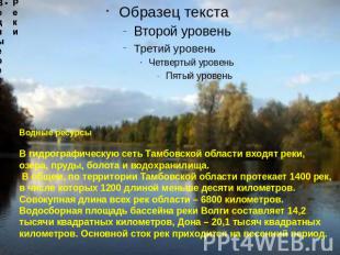 Водные ресурсы В гидрографическую сеть Тамбовской области входят реки, озера, пр