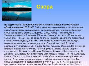 ОзераОзераНа территории Тамбовской области насчитывается около 300 озер, общей п