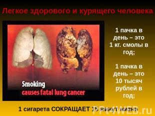 Легкое здорового и курящего человека 1 пачка в день – это 1 кг. смолы в год; 1 п