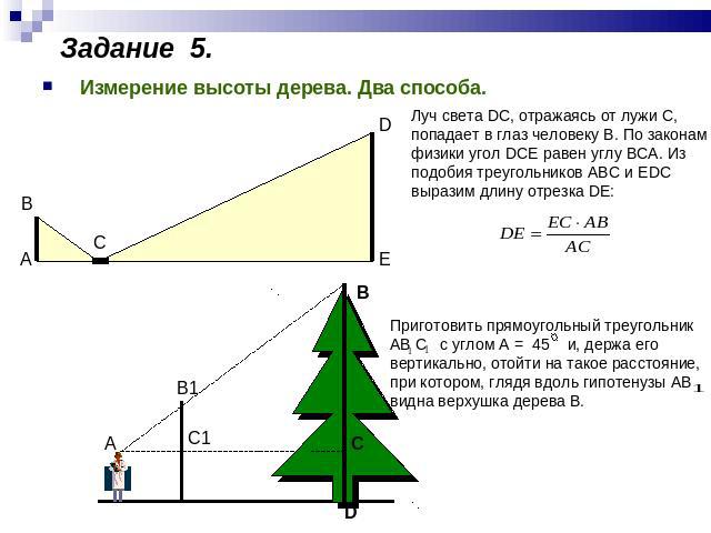 Задание 5. Измерение высоты дерева. Два способа. Луч света DC, отражаясь от лужи С, попадает в глаз человеку В. По законам физики угол DCE равен углу ВСА. Из подобия треугольников АВС и ЕDС выразим длину отрезка DЕ: Приготовить прямоугольный треугол…