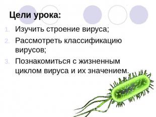 Цели урока: Изучить строение вируса; Рассмотреть классификацию вирусов; Познаком