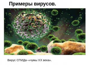 Примеры вирусов. Вирус СПИДа–«чумы XX века».