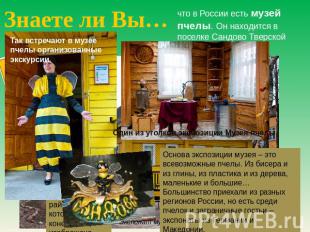 Знаете ли Вы… что в России есть музей пчелы. Он находится в поселке Сандово Твер