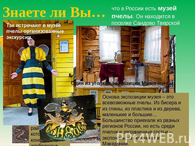 Знаете ли Вы… что в России есть музей пчелы. Он находится в поселке Сандово Тверской области. Так встречают в музее пчелы организованные экскурсии.  Основа экспозиции музея – это всевозможные пчелы. Из бисера и из глины, из пластика и из дерева, мал…