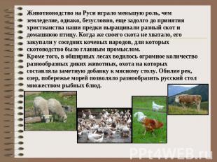 Животноводство на Руси играло меньшую роль, чем земледелие, однако, безусловно,