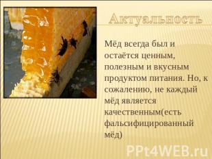 Актуальность Мёд всегда был и остаётся ценным, полезным и вкусным продуктом пита
