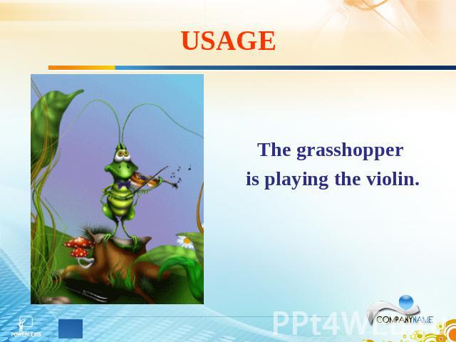USAGE The grasshopper is playing the violin.