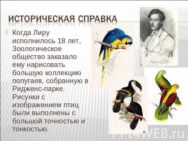 Историческая справка Когда Лиру исполнилось 18 лет, Зоологическое общество заказало ему нарисовать большую коллекцию попугаев, собранную в Ридженс-парке. Рисунки с изображением птиц были выполнены с большой точностью и тонкостью.