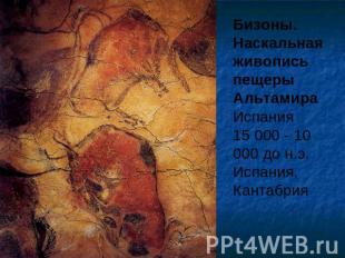 Бизоны. Наскальная живопись пещеры Альтамира Испания 15 000 - 10 000 до н.э. Исп