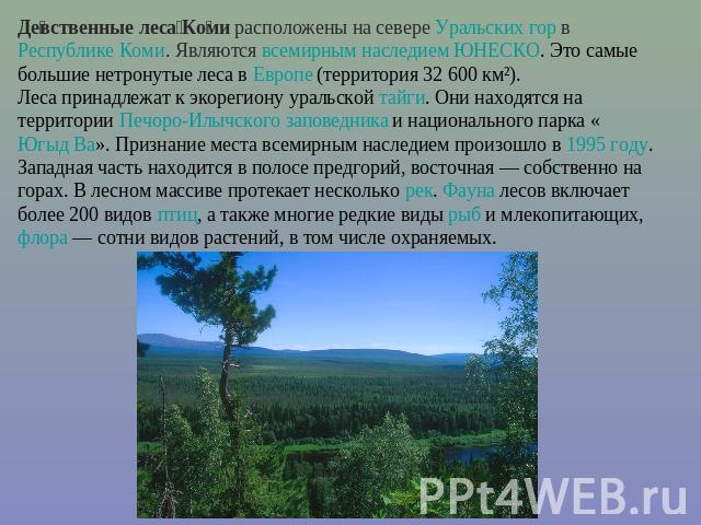 Девственные леса Коми расположены на севере Уральских гор в Республике Коми. Являются всемирным наследием ЮНЕСКО. Это самые большие нетронутые леса в Европе (территория 32 600 км²). Леса принадлежат к экорегиону уральской тайги. Они находятся на тер…