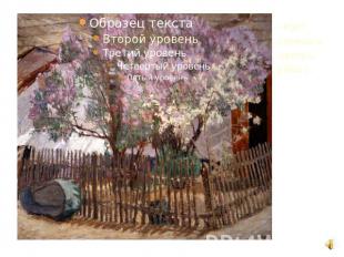«Куст сирени в цвету», 1904 г.