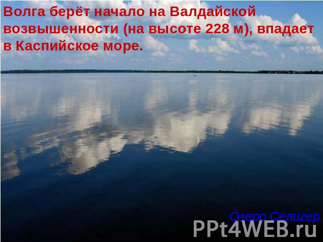 Волга берёт начало на Валдайской возвышенности (на высоте 228 м), впадает в Каспийское море. Озеро Селигер
