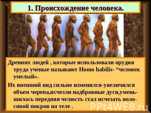 1. Происхождение человека. Древних людей , которые использовали орудия труда ученые называют Homo habilis- “человек умелый». Их внешний вид сильно изменился-увеличился объем черепа,исчезли надбровные дуги,умень-шилась передняя челюсть стал исчезать …