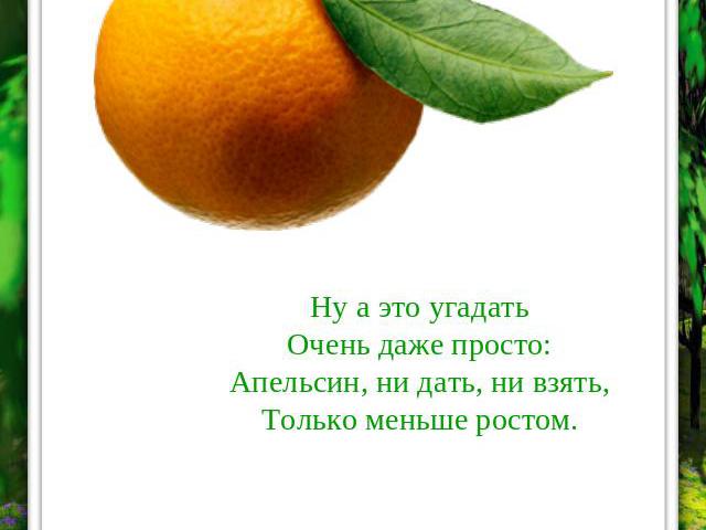 Ну а это угадатьОчень даже просто:Апельсин, ни дать, ни взять,Только меньше ростом. МАНДАРИН
