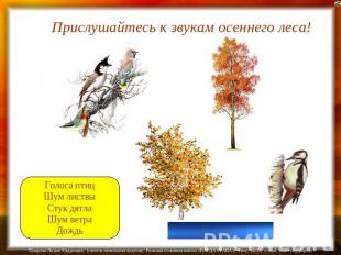Прислушайтесь к звукам осеннего леса! Голоса птиц Шум листвы Стук дятла Шум ветр