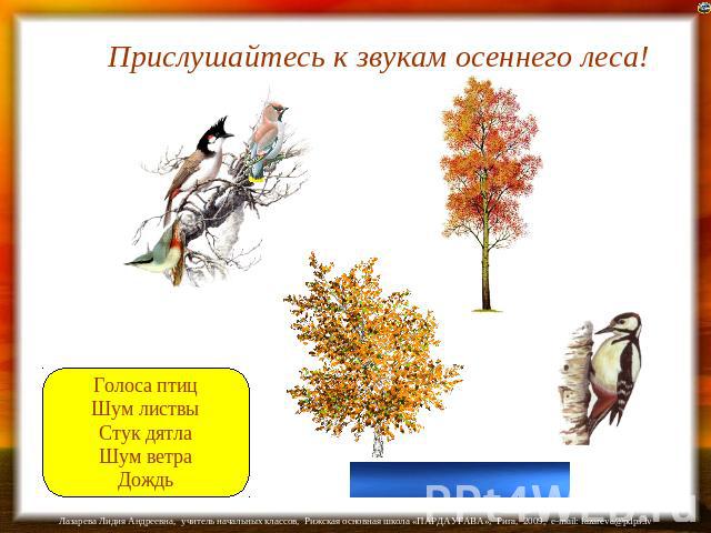 Прислушайтесь к звукам осеннего леса! Голоса птиц Шум листвы Стук дятла Шум ветра Дождь