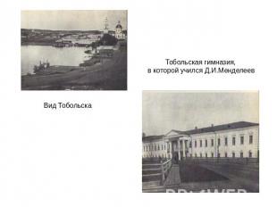Вид Тобольска Тобольская гимназия, в которой учился Д.И.Менделеев