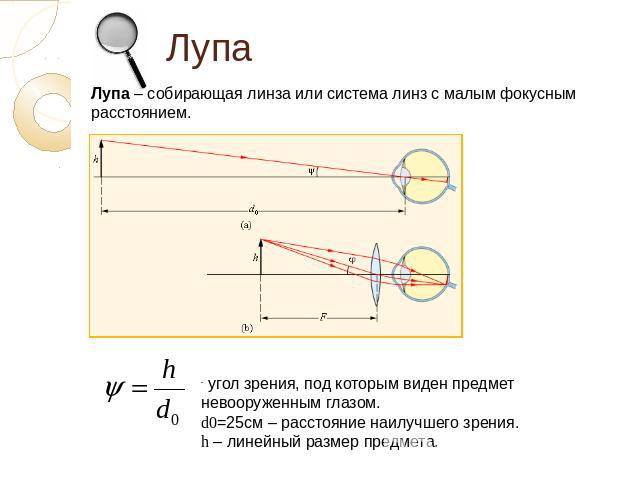 Лупа Лупа – собирающая линза или система линз с малым фокусным расстоянием. угол зрения, под которым виден предмет невооруженным глазом. d0=25см – расстояние наилучшего зрения. h – линейный размер предмета.
