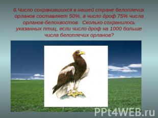 6.Число сохранившихся в нашей стране белоплечих орланов составляет 50%, а число