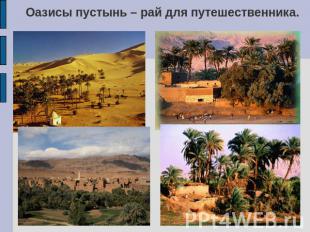 Оазисы пустынь – рай для путешественника.