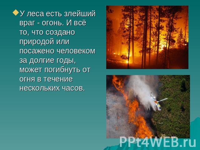 У леса есть злейший враг - огонь. И всё то, что создано природой или посажено человеком за долгие годы, может погибнуть от огня в течение нескольких часов.