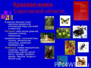 Красная книгаСаратовской области В данную Красную книгу занесены редкие или исче