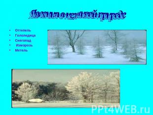 Явления в неживой природе Оттепель Гололедица Снегопад Изморозь Метель