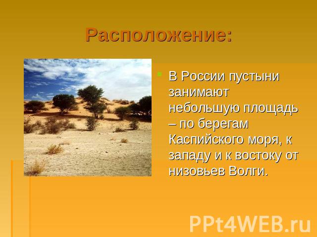 Расположение: В России пустыни занимают небольшую площадь – по берегам Каспийского моря, к западу и к востоку от низовьев Волги.