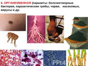 6. ОРГАНИЗМЕННАЯ (паразиты: болезнетворные бактерии, паразитические грибы, черви