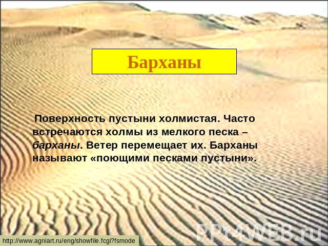 Барханы Поверхность пустыни холмистая. Часто встречаются холмы из мелкого песка – барханы. Ветер перемещает их. Барханы называют «поющими песками пустыни».
