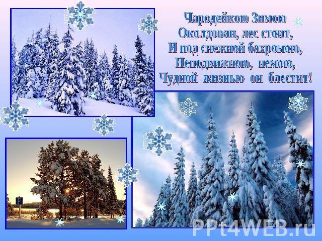 Чародейкою Зимою Околдован, лес стоит, И под снежной бахромою, Неподвижною, немою, Чудной жизнью он блестит!