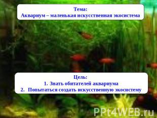 Тема: Аквариум – маленькая искусственная экосистема Цель: Знать обитателей аквар