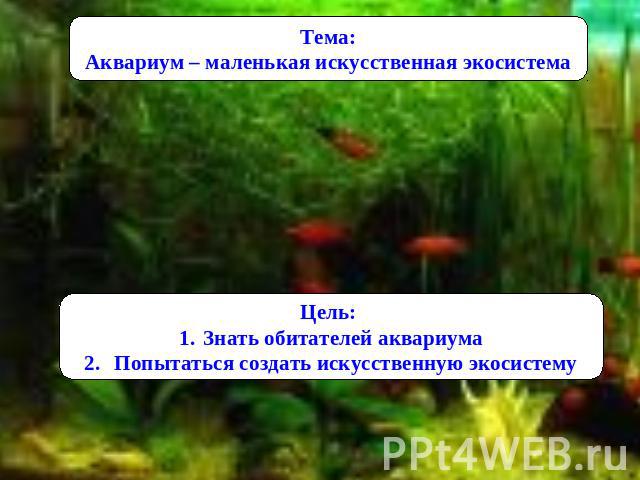 Тема: Аквариум – маленькая искусственная экосистема Цель: Знать обитателей аквариума Попытаться создать искусственную экосистему