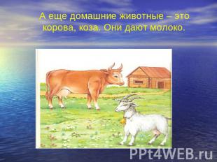 А еще домашние животные – это корова, коза. Они дают молоко.