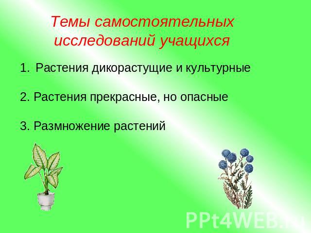 Темы самостоятельных исследований учащихся Растения дикорастущие и культурные 2. Растения прекрасные, но опасные 3. Размножение растений