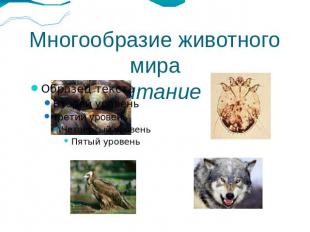 Многообразие животного мираПитание