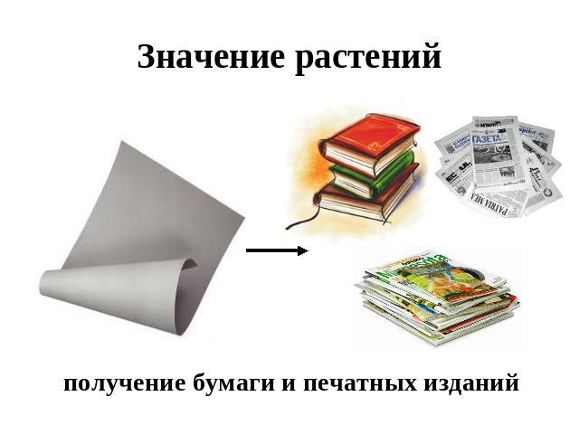 Значение растений получение бумаги и печатных изданий