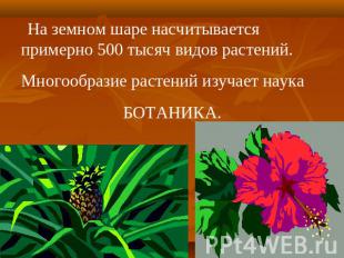 На земном шаре насчитывается примерно 500 тысяч видов растений. Многообразие рас